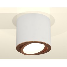 Накладной поворотный светильник Ambrella Light Techno XS7401005 (C7401, N7005)