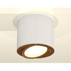 Накладной поворотный светильник Ambrella Light Techno XS7401004 (C7401, N7004)