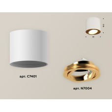 Накладной поворотный светильник Ambrella Light Techno XS7401004 (C7401, N7004)