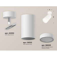 Спот Ambrella Light Techno Spot XM6322013 (A2202, C6322, N6220)