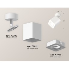 Спот Ambrella Light Techno Spot XM7812020 (A2202, C7812, N7715)