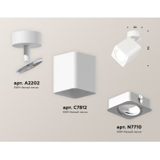 Спот Ambrella Light Techno Spot XM7812010 (A2202, C7812, N7710)