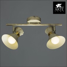 Спот Arte Lamp Baltimore A1406AP-2WG