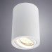 Потолочный светильник Arte Lamp A1560PL-1WH