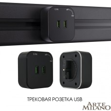 Трековая розетка Arte Milano Am-track-sockets 380022TS/USBx2 Black