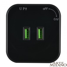 Трековая розетка Arte Milano Am-track-sockets 380022TS/USBx2 Black