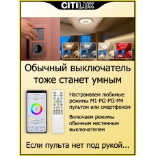 Потолочный светодиодный светильник Citilux Старлайт Смарт CL703A103G