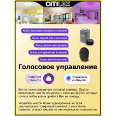 Потолочный светодиодный светильник Citilux Старлайт Смарт CL703A103G