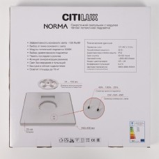 Потолочный светильник Citilux Norma CL748K400