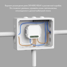 Двухканальное Wi-Fi реле-диммер Denkirs Relay RL1004-DM/1