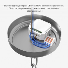 Одноканальное Wi-Fi реле-выключатель Denkirs Relay RL1001-SM/1