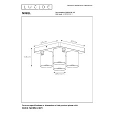 Спот Lucide Nigel 09929/20/02