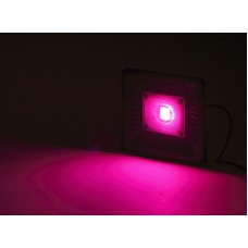 Фитопрожектор для растений Эра FITO-50W-LED-BLUERED Б0039033